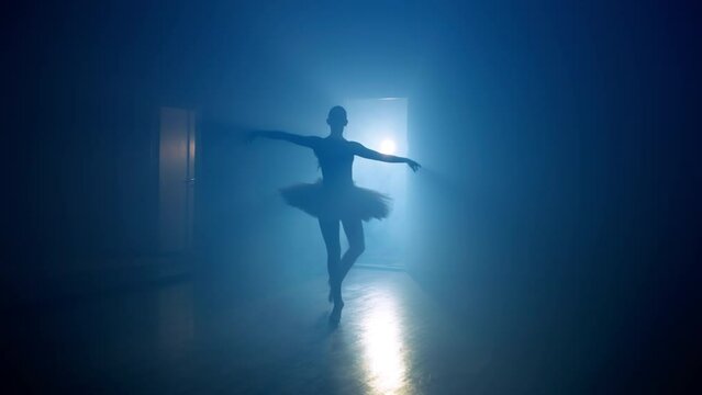 The art of choreography and ballet, a ballerina dances in a ballroom. Dance and ballet pas, hard training. High quality 4k footage