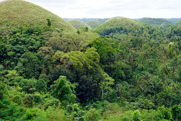 Fototapeta premium famous chocolate hills on bohol island on the philippines