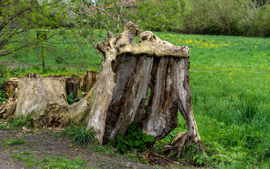Felder und Ackerland im Berliner Norden, Berlin Lübars, Berlin, Deutschland