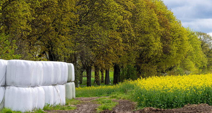 Heuballen und Misthaufen auf einem landwirtschaftlichem Acker, Berlin, Deutschland
