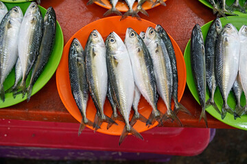 fresh fish at a local fish market in cebu city