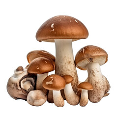 mushrooms isolated on a transparent background, generative ai