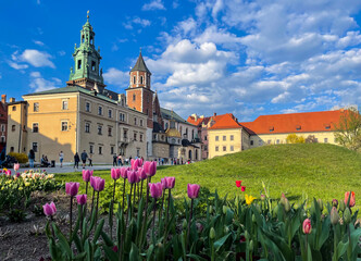 Wawel Royal Castle with flowers in spring