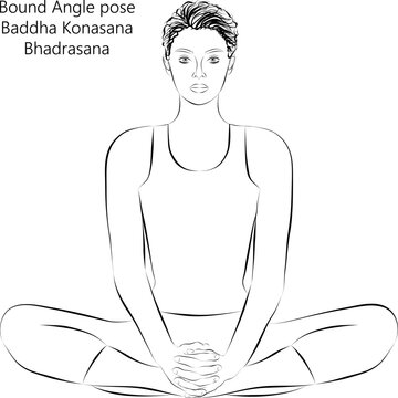 Sketch of young woman practicing yoga, doing Butterfly or Bound Angle pose. Baddha Konasana or Bhadrasana. Seated and Neutral. Beginner.Vector illustration isolated on transparent background.