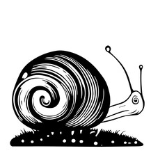 Hand-drawn black vector illustration of one snail on a white background © Tatiana Kuklina