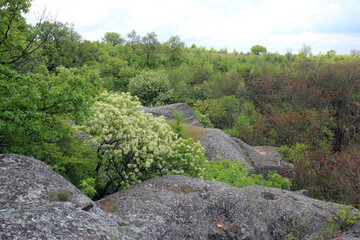 Rock monastery near the village of Royak (Bulgaria) and a view of the surrounding area

