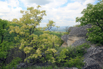 Fototapeta na wymiar Rock monastery near the village of Royak (Bulgaria) and a view of the surrounding area 