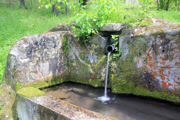 Obraz premium Cheshma with spring water in the forest near the village of Royak (Bulgaria) 