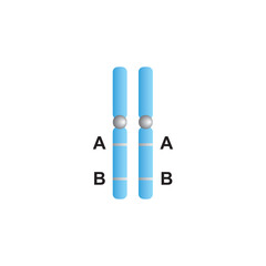 Scientific Designing of Linked Genes. Vector Illustration.