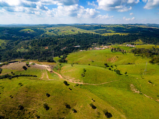 Fototapeta premium Aerial image of pine trees and houses in the middle of the forest in the interior of Brazil. Green, blue sky and immensity. City Joaquim Egidio next to Sousas.