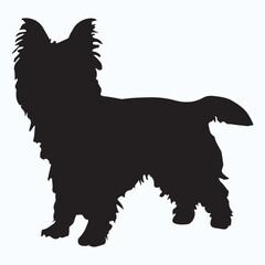 Cairn Terrier silhouettes and icons. Black flat color simple elegant Cairn Terrier animal vector and illustration.