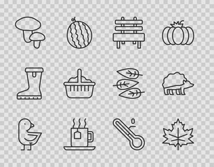 Set line Little chick, Leaf or leaves, Bench, Cup of tea with tea bag, Mushroom, Basket, Meteorology thermometer and Hedgehog icon. Vector