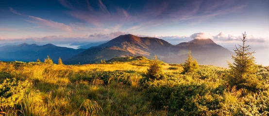  A breathtaking view of the mountain ranges in the evening sunlight. Carpathian mountains, Ukraine, Europe. © Leonid Tit