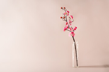 Spring flowers in glass vase