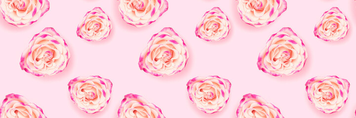 Banner with pattern made of rose flower on a pink pastel background.