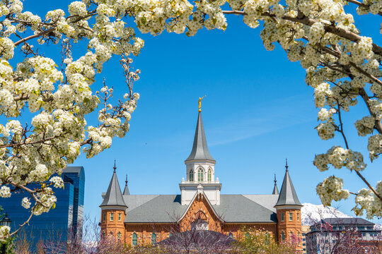 provo temple in the spring 