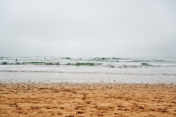 Surfers practicing at the beach