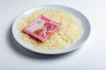 a plate with rice and money for the high price that rice has reached