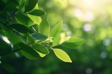 Obraz premium Green leaves background, generative ai