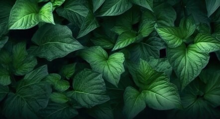 Fototapeta na wymiar Green leaves background, generative ai