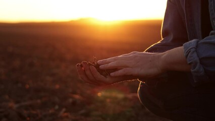 Male farmer's hand holds a handful of dry ground and checks soil fertility and quality before sowing crops on plowed field at sunset. Cultivated land. Concept of organic agriculture and agribusiness.