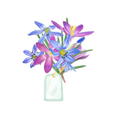 Watercolor bouquet of crocuses and scillas with tag isolated on transparent background. Illustration for the design of postcards, greetings, for Save the Date, Valentines day, birthday, wedding cards