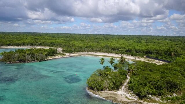 Beautiful paradise lagoon with pams and trees. Blue water of Atlantic ocean. Carribean.