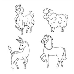 Donkey, Horse, Llama or Alpaca, Sheep. Set of animals. Farm animals. Cattle breeding Vector illustration isolated on white background.