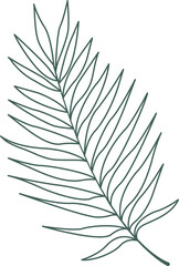 line art leaf