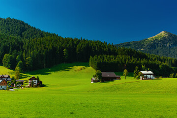 Picturesque valley in summer Alps