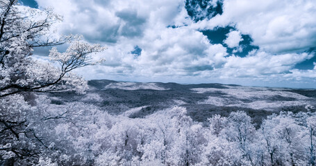 Infrared landscape panorama of trees , forest and mountains. 