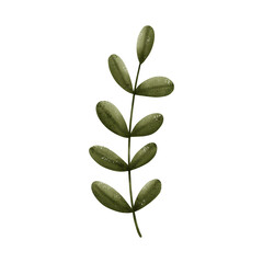 Obraz na płótnie Canvas illustration of a leaf