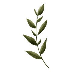illustration of a leaf