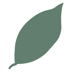 illustration of a leaf