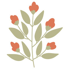 plant with red roses