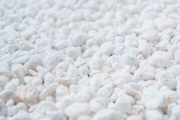Perlite for plants. neutral material of volcanic origin