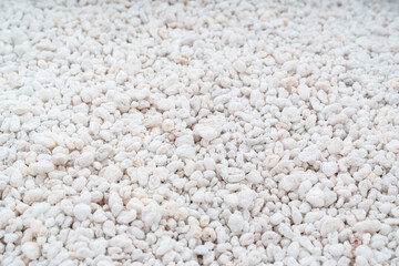 Perlite for plants. neutral material of volcanic origin