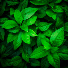 Fototapeta na wymiar Designer background with green leaves. High quality illustration Generative AI
