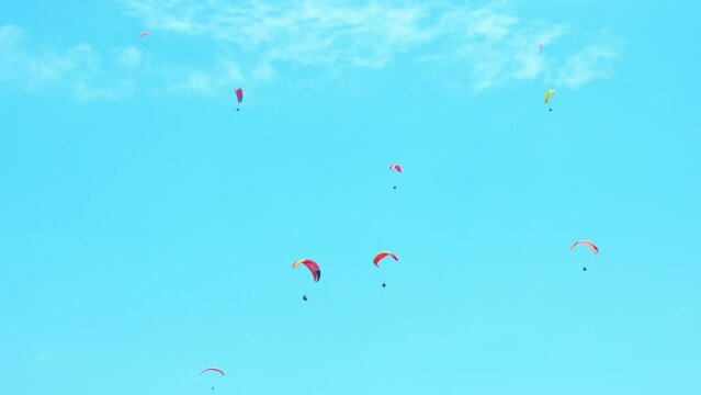 Team sport with paragliding in open sky. A sporty team practicing paragliding sport during summer vacation.