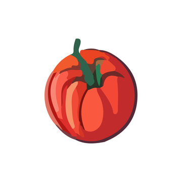 Vector illustration of a tomato drawn in watercolor in a cartoon style.
