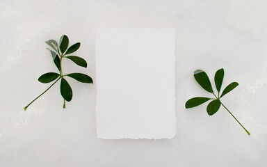 blank note paper with leafs on wooden background. 3D illustration, 3D rendering.