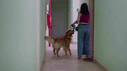 Woman leaving apartment. Candid domestic lifestyle routine. Female Person in 30s going out for a walk with her Dog seen from building corridor