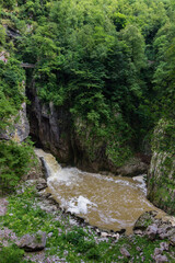 View of Skocjan Caves and surrounding area (Slovenia)