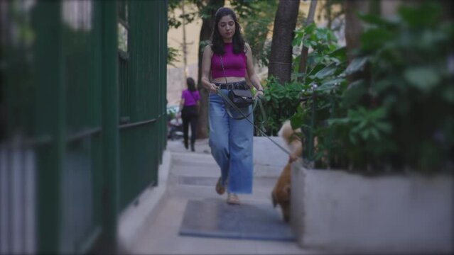 Woman walking her Dog on a leash at city street. Daily lifestyle routine of person with Golden Retriever Pet in urban environment