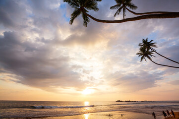 Fototapeta premium Tropical beach
