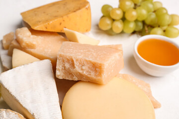 Different types of tasty cheese on light background, closeup