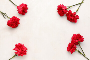 Frame Made Red Carnations Light