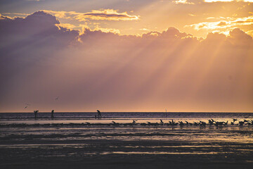 sunset on the beach