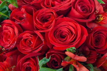 Detalle de ramo de rosas rojas