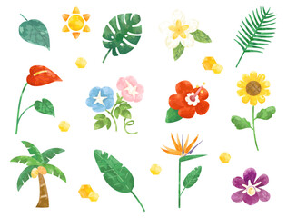向日葵やハイビスカスなどの夏の花や植物・葉のイラストセット